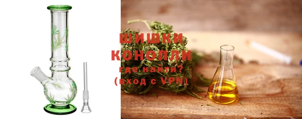 прущие грибы Балахна
