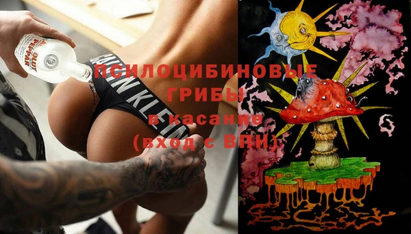 прущие грибы Балахна