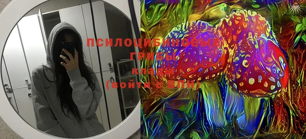 прущие грибы Балахна