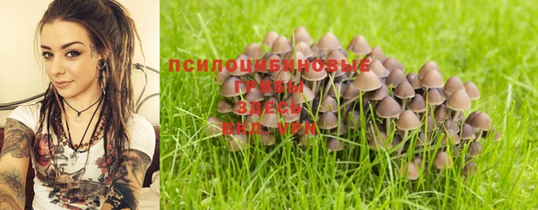 прущие грибы Балахна