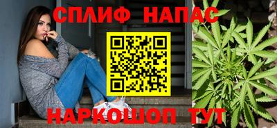 трава Кудрово
