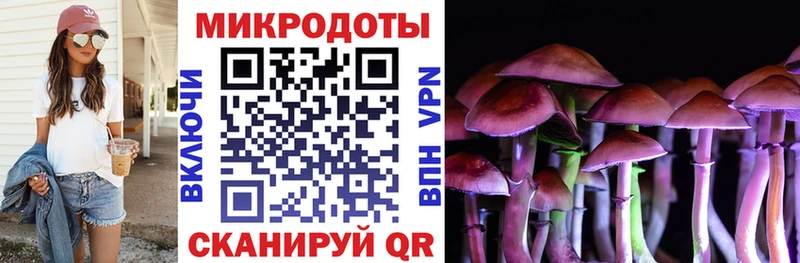 закладки Заречный Галлюциногенные грибы GOLDEN TEACHER