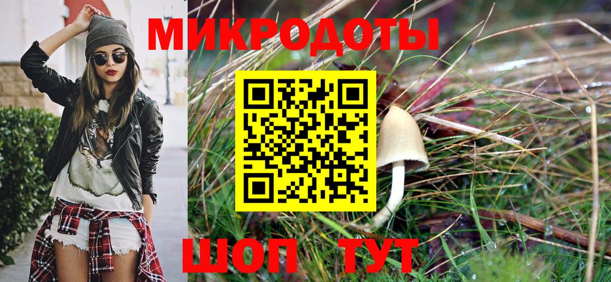 Псилоцибиновые грибы прущие грибы Заречный