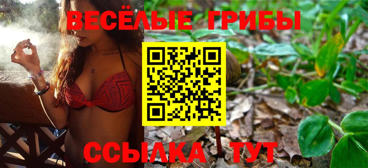 Псилоцибиновые грибы мухоморы  Псилоцибиновые грибы Cubensis  Вход с VPN  Заречный 